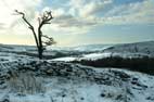 3 December, Bilsdale Winter Spectacular