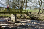 7 March  Bowes to God's Bridge and Deepdale