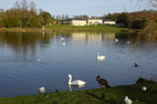 Sedgefield & Hardwick Hall Park