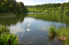 21 May 2025 Ampleforth & Gilling East