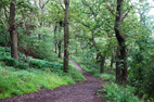 23 July 2025, - Great Ayton &amp; Newton under Roseberry